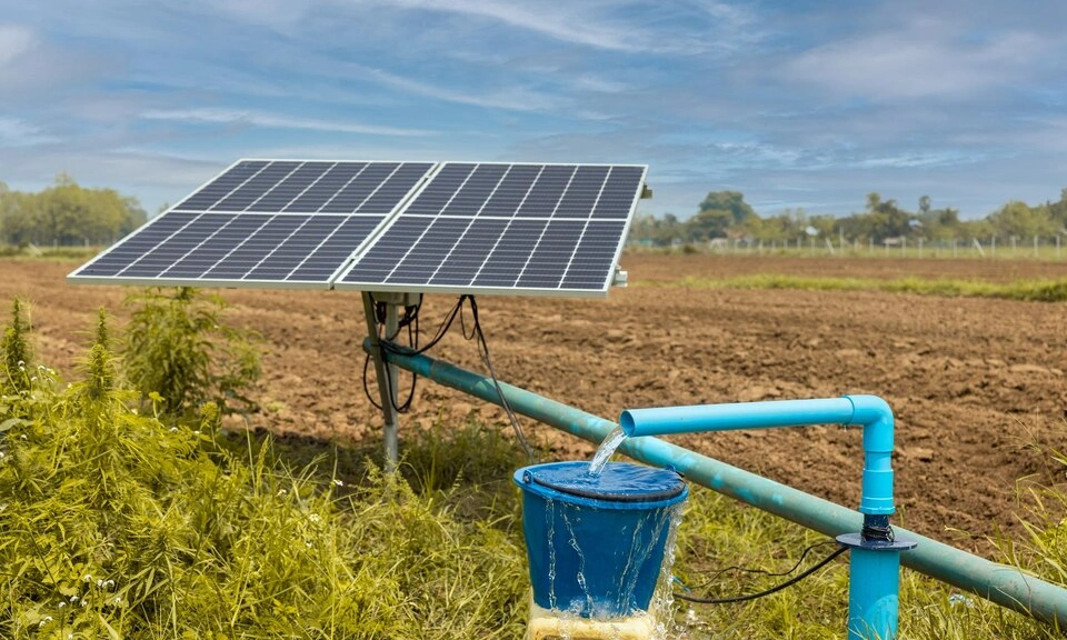 Farm with solar-powered agricultural pumps